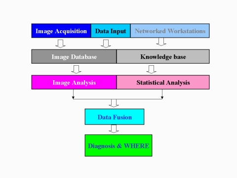 Lifelinger Processing